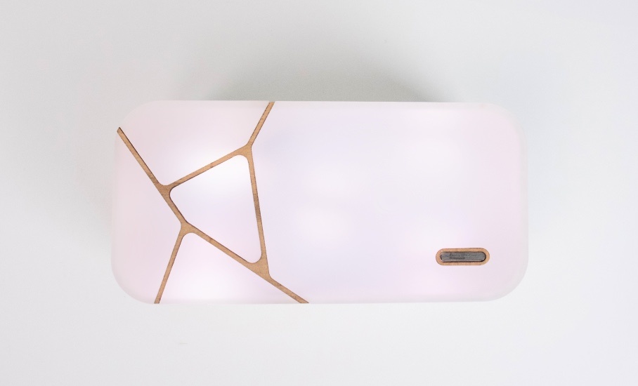 Kintsugi detail